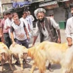 Bombay High Court Allows Animal Sacrifice at Dargah in Vishalgad Fort for Bakri-Eid and Urs Celebrations
