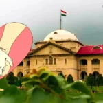 Honour Killing Cannot Be Ruled Out: Allahabad HC Shields Adult Married Couple, Warns SSP of Consequences If Harm Occurs