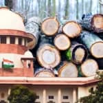 Vacation bench of Supreme Court refuses immediate intervention in Himachal tree felling case